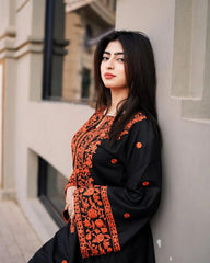 Heer Embroidered 2Pcs Stitched Premium Fabric Luxury Suit Pakistani