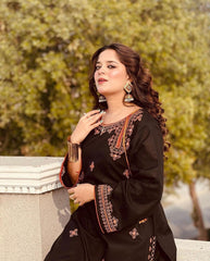 Desi Core Embroidery 2Pcs Stitched Premium Fabric Luxury Suit