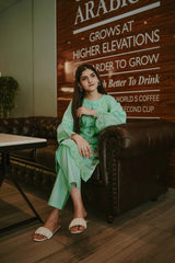 Nusrat 2pc Cotton Luxury Stitched Suit Pakistani Designer