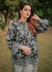 Mumtaz 2Pcs Stitched Lawn Luxury Suit Pakistani Designer