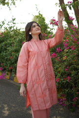 Fanoos 2PC Cotton Luxury Stitched Suit Pakistani Designer