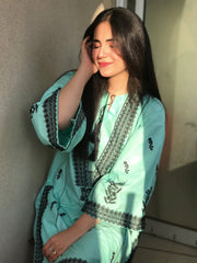 Anaya 2Pc Stitched Cotton Luxury Suit Pakistani Designer