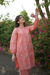 Fanoos 2PC Cotton Luxury Stitched Suit Pakistani Designer