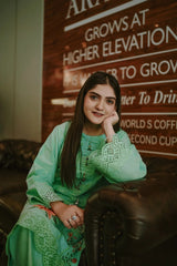 Nusrat 2pc Cotton Luxury Stitched Suit Pakistani Designer